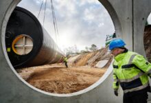 En wb extrait itw reed brody