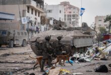 Animal victims of the war ngo in israel rescues dogs left behind after oct 7th attacks