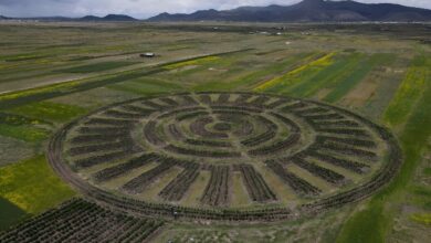 Andean farmers use age old technique amid climate change