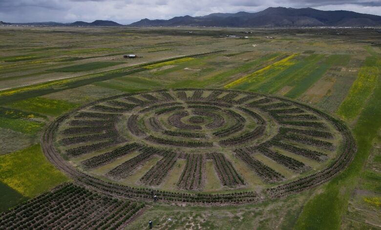 Andean farmers use age old technique amid climate change