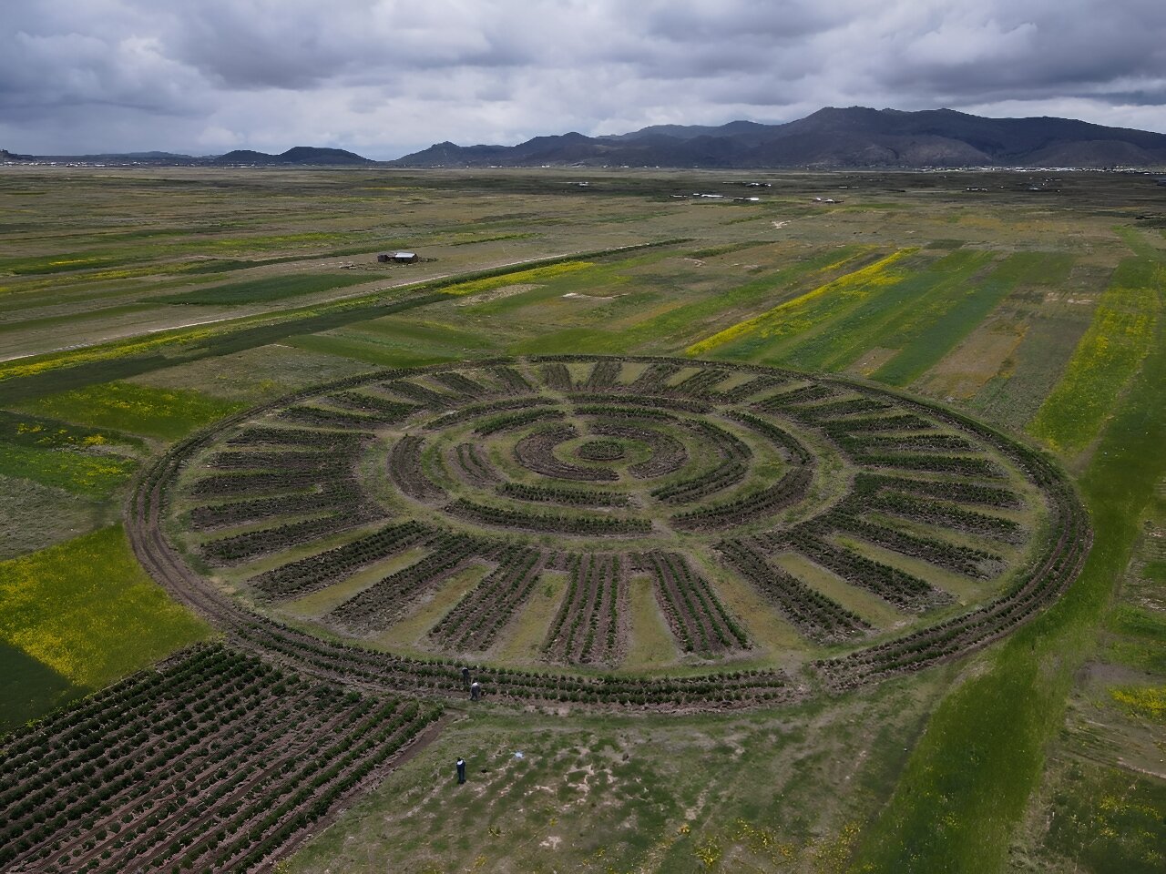 Andean farmers use age old technique amid climate change