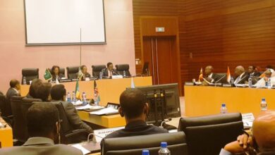 Sudan says it suspends contact with igad mediation group
