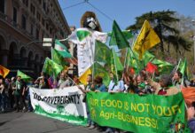Food sovereignty sound legislation or just a message of love to farmers