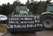 French farmers pile pressure on govt to provide answers on aid regulation