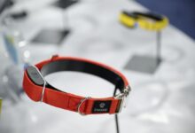 Ces pet tech throw a dog a bone or an ai collar