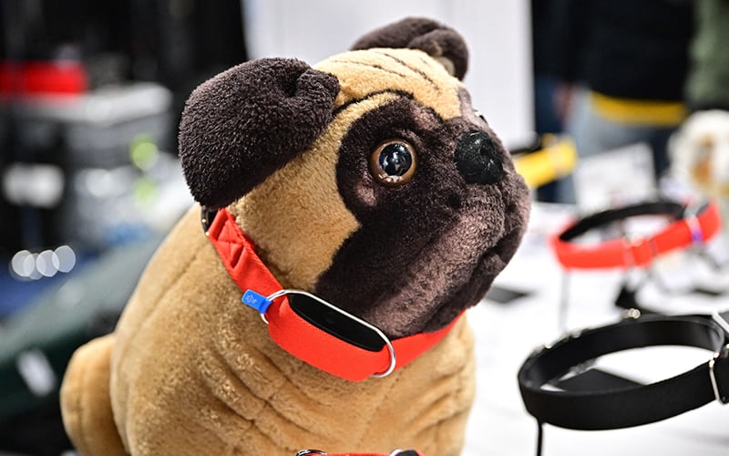 Ces pet tech throw a dog a bone or an ai collar