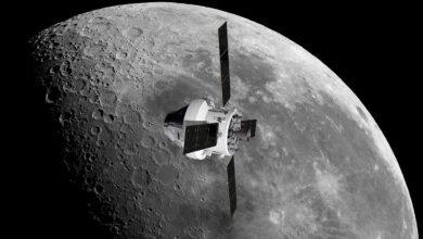 Japan space agency says its slim spacecraft is on the moon but is still checking its status