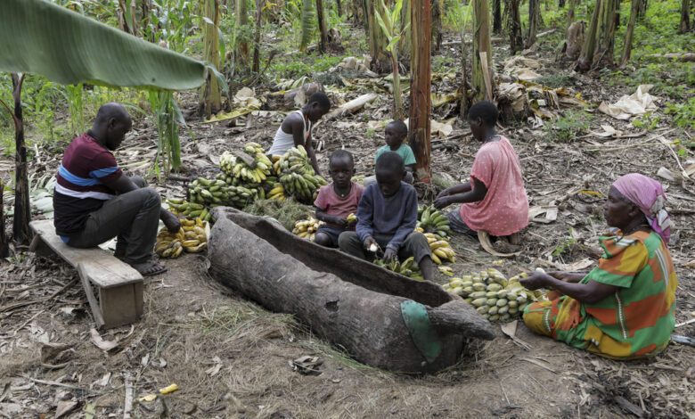 A boozy banana drink in uganda is under threat as authorities move to restrict home brewers