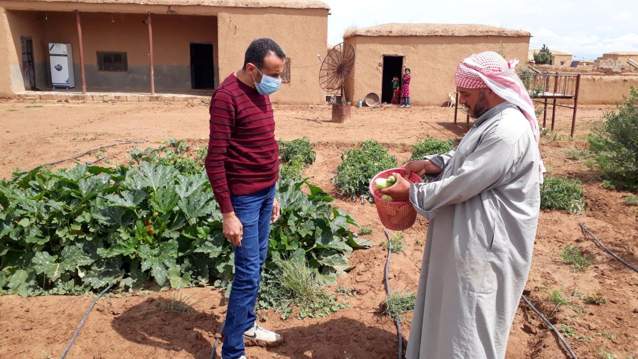 Un syria treating livestock helps farmers their women world reuters july nations united