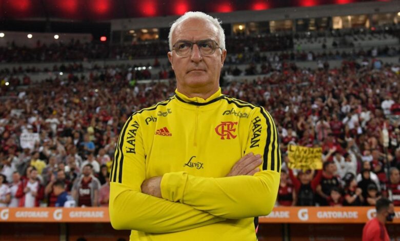 Brazil confirm dorival junior as new coach