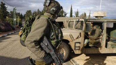 Israeli wineries near lebanon fear ruined crop as war looms