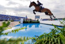 Equestrian fei discipline competing tryon