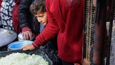 If food trucks arrive in gaza they are immediately set upon and pillaged