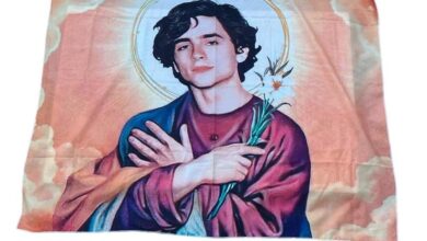 Tim huthi chalamet handsome tiktoker spreads yemen rebels message