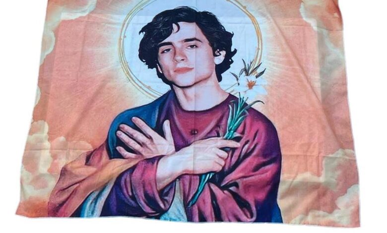 Tim huthi chalamet handsome tiktoker spreads yemen rebels message