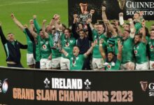 Ireland s hansen to miss six nations