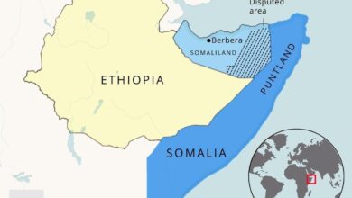 Somalia recalls envoy to ethiopia over null and void somaliland port deal