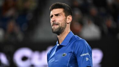 Djokovic s 15 year special relationship with melbourne tree