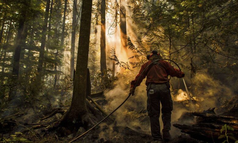 Firefighters battle out of control blaze in argentina national park