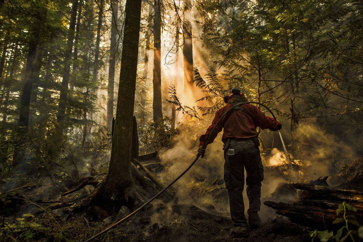 Firefighters battle out of control blaze in argentina national park