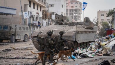 Animal victims of the war ngo in israel rescues dogs left behind after oct 7th attacks