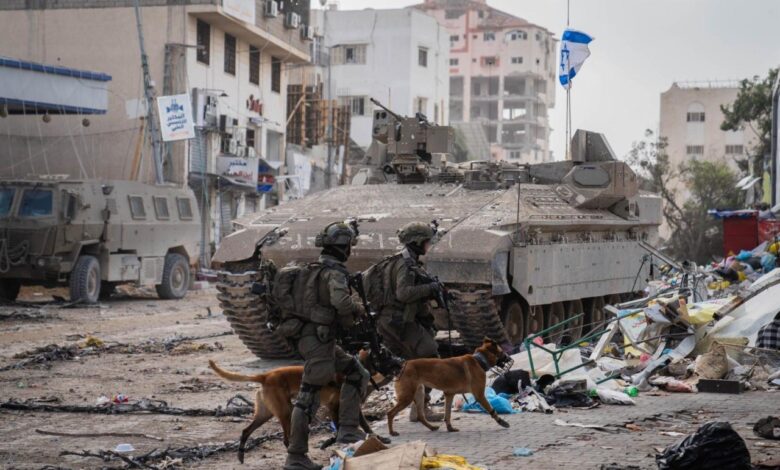 Animal victims of the war ngo in israel rescues dogs left behind after oct 7th attacks