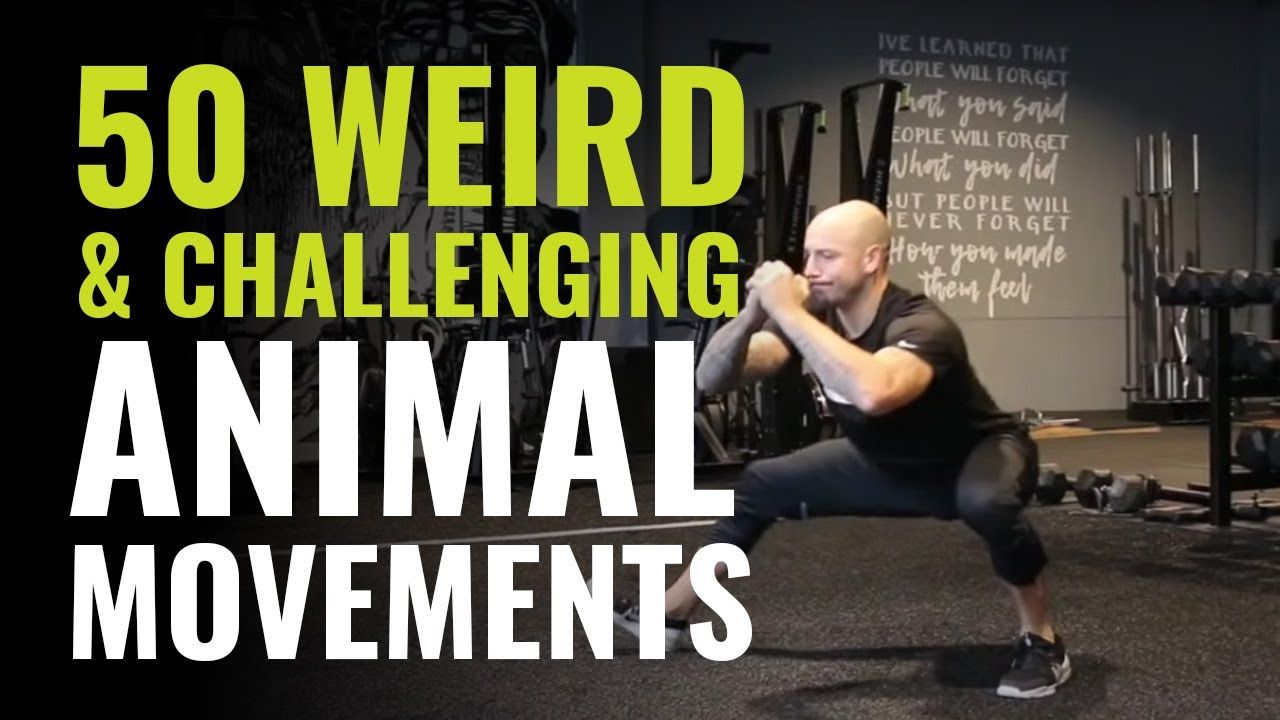 Why animal movements are the new workout trend