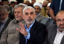 Pressure mounts on israel for gaza ceasefire amid fears for rafah civilians
