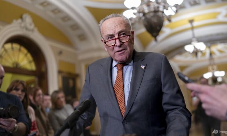 Us senate unveils 118 3 billion funding bill for ukraine israel and border