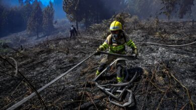 Colombia seeks help with forest fires as smoke blankets capital