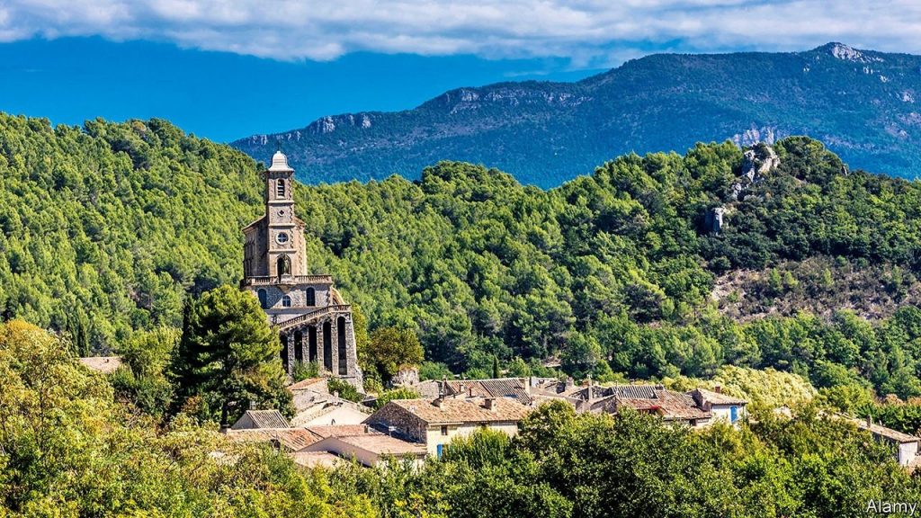 French forests putting down roots