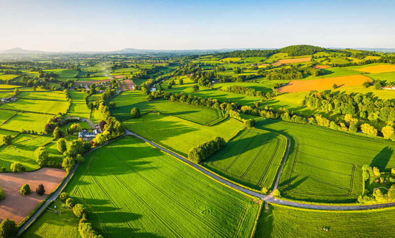 Eu agriculture ministers set to meet amid farmer protests in france and germany