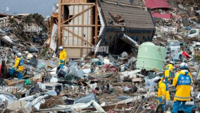 Japanese rescuers race to find survivors after earthquake kills dozens