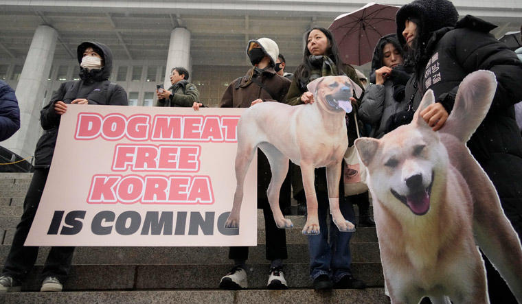 South korea bans consumption of dog meat in win for animal activism