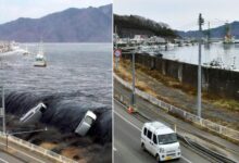 Major japan quake kills six triggers tsunami waves