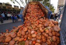 Growing anger among french farmers over taxes pesticide bans