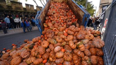 Growing anger among french farmers over taxes pesticide bans