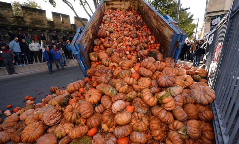 Growing anger among french farmers over taxes pesticide bans