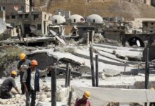 Syrian farmers abandon the land for steadier jobs
