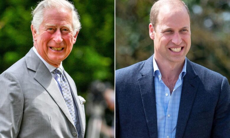 William returns to fill royal void as king charles faces cancer treatment