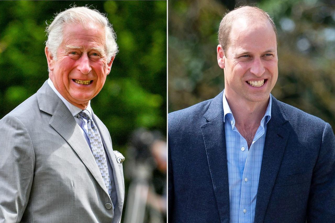 William returns to fill royal void as king charles faces cancer treatment