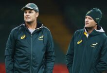 Erasmus eyes world cup history with new springbok contract