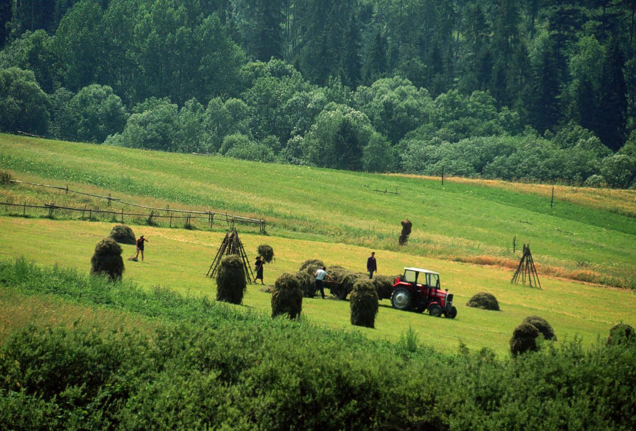 Do we need farmers do we want european agriculture or are we happy to import more