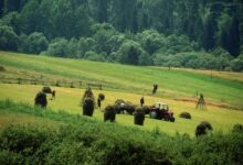 Do we need farmers do we want european agriculture or are we happy to import more
