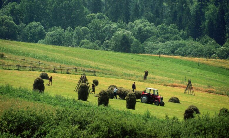 Do we need farmers do we want european agriculture or are we happy to import more