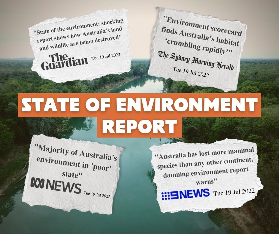 English rivers in desperate state report