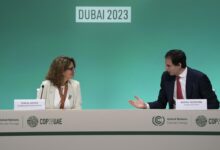 We need more europe against trump spanish minister teresa ribera