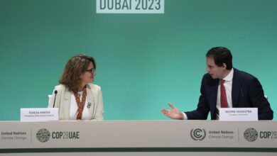 We need more europe against trump spanish minister teresa ribera