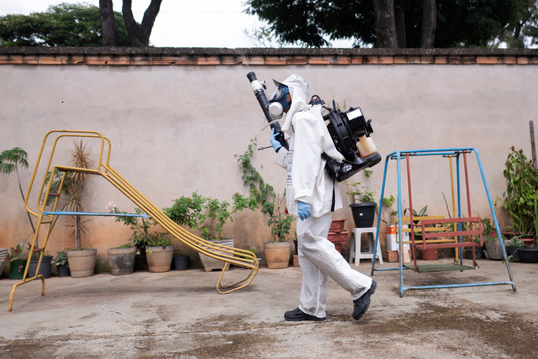 Brazil battles dengue outbreak as carnival gets underway